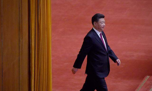 Xi sei eine "sehr seltene Person, die man nur ein Mal im Jahrhundert finde", erklärte der Forscher.