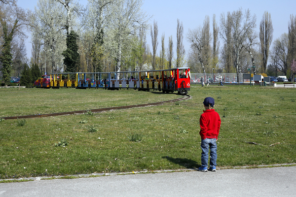 Im Gegensatz zu den meisten Attraktionen der Gartenschau gibt es sie noch heute: Die Donauparkbahn, "kleine Schwester" der berühmten Lilliputbahn im Wiener Prater, dreht noch heute ihre Runden. Auf ihrer 3,4 Kilometer langen Schleife hält sie an drei Stationen. Die gesamte Rundfahrt kostet für Kinder 2,50 und für Erwachsene 4 Euro.
