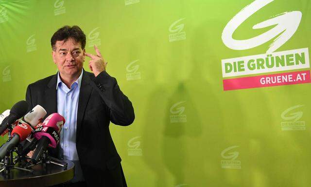 Werner Kogler, Grüne