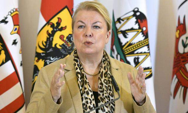 Sozialministerin Beate Hartinger-Klein (FPÖ) hatte die Eckpunkte ihrer Reform Ende Mai vorgestellt und ein Gesetz für Sommer versprochen. Dies wurde verschoben. 