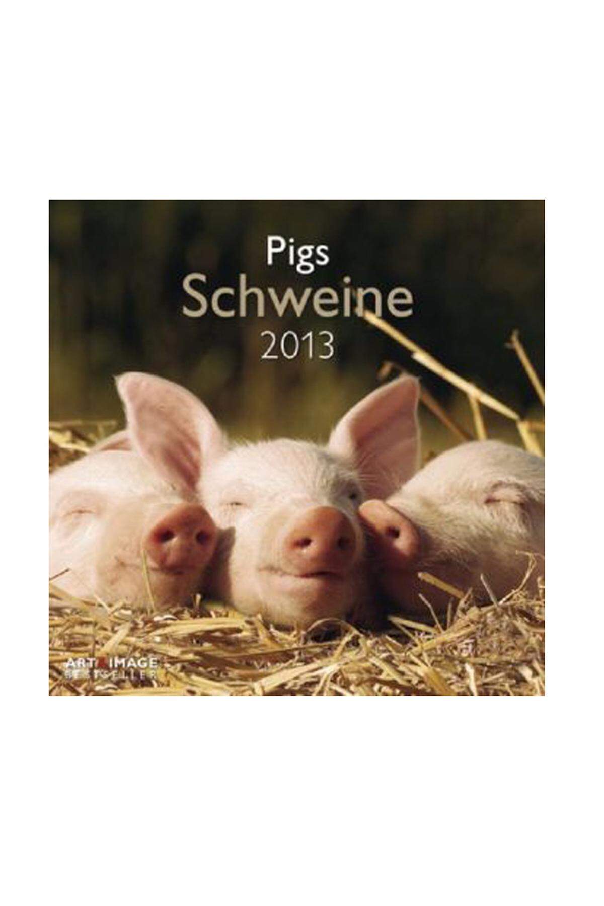 Schwein gehabt: Kalender für 2013 kann man bald gut gebrauchen, so etwa den Schweinchenkalender um 4,99 Euro bei Libro.