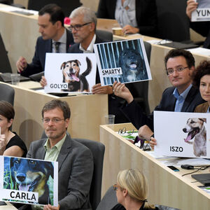 SONDERSITZUNG DES NATIONALRATES