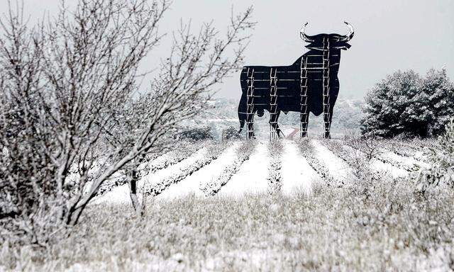 A billboard of a giant bull is dusted with snow in front of a snow-covered field following an overni..