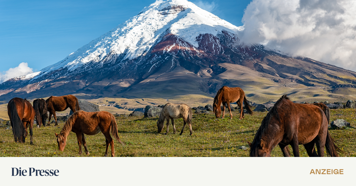 Auf-den-Spuren-von-Humboldt-und-Darwin