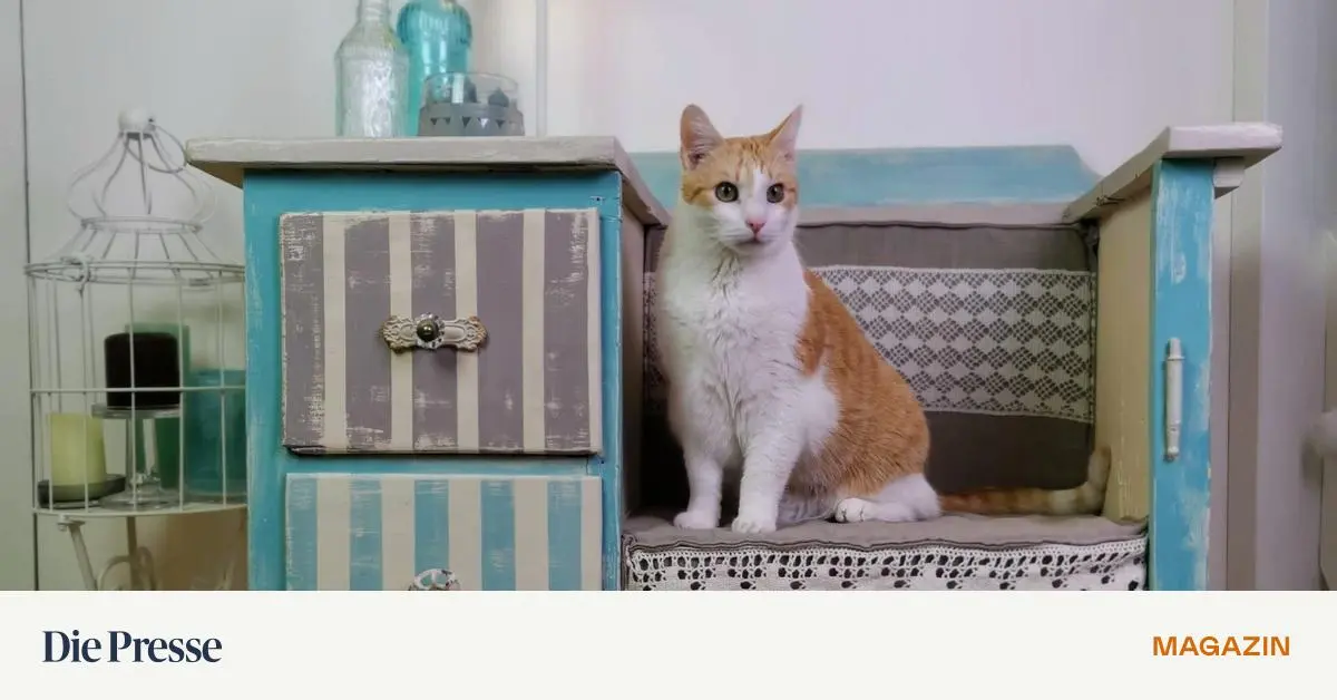 Upcycling-Wie-alter-Krempel-zum-Designerst-ck-wird-premium-