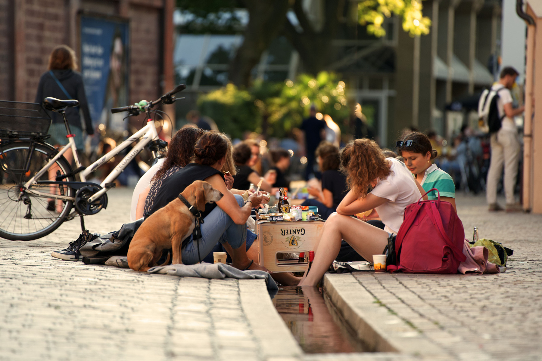 Running Water Through the City: The Bächle of Freiburg im Breisgau