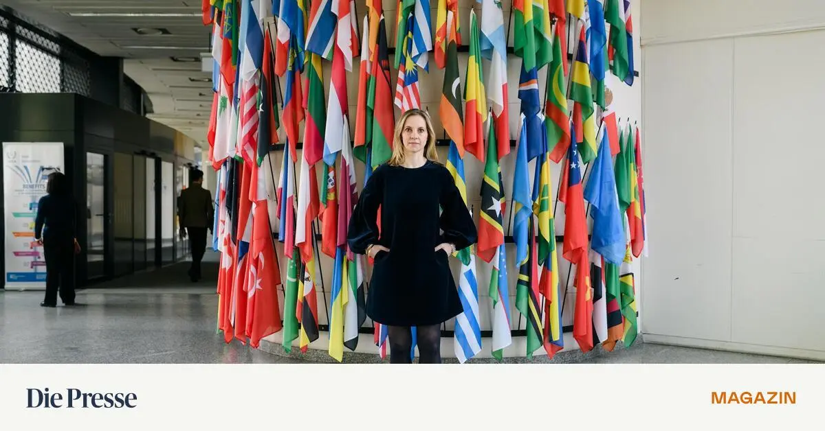 Das-Ende-f-r-UN-Women-Harte-Zeiten-f-r-die-Gleichberechtigung-premium-