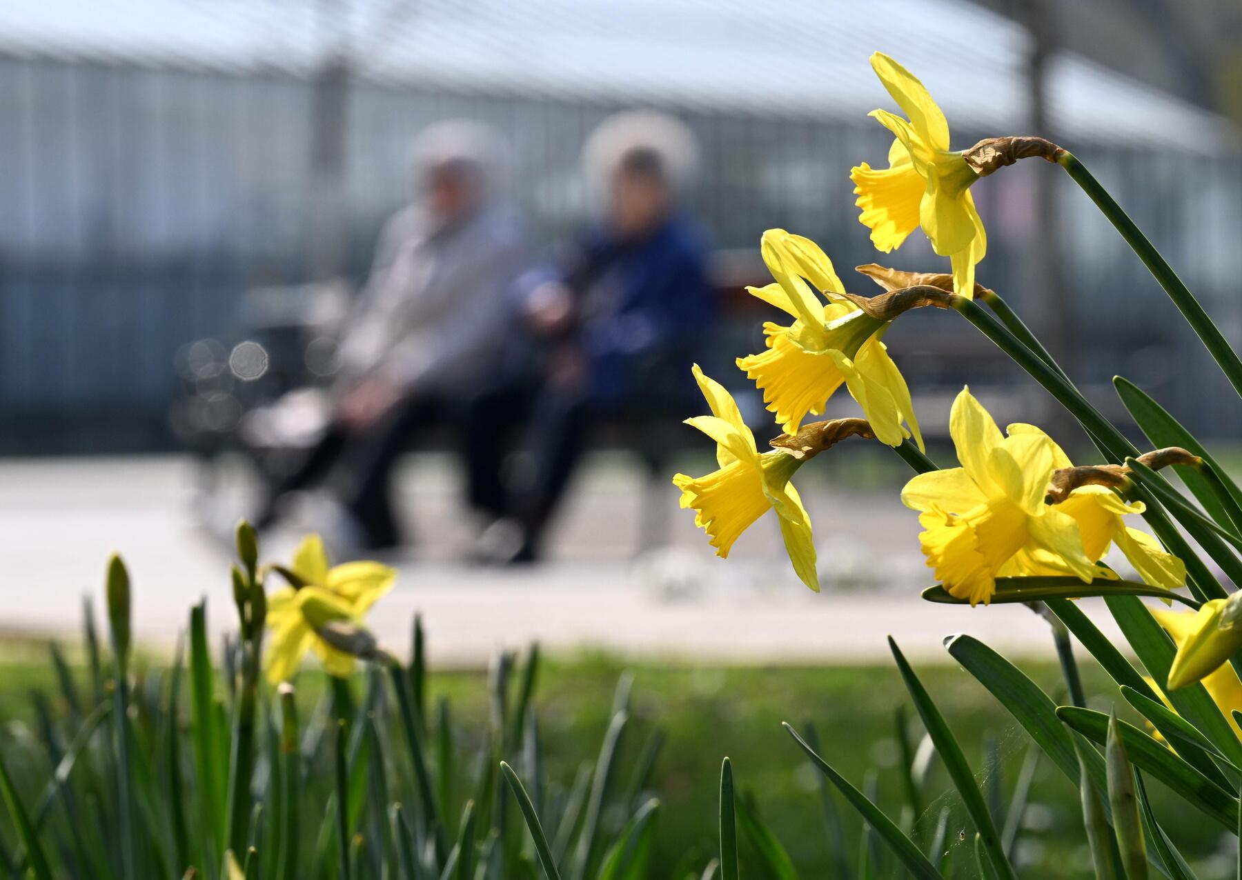 Der Ostersonntag wird sonnig und warm