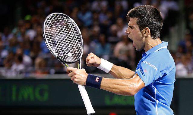 Tennis: Miami Open-Djokovic v Ferrer