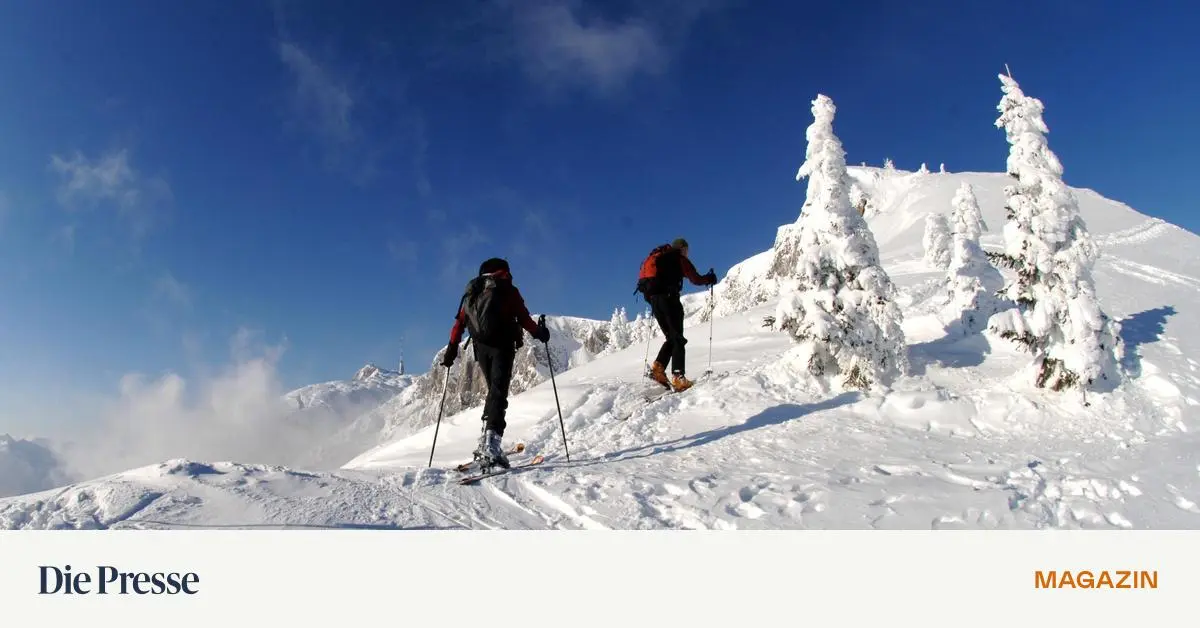 Nach-Gro-glockner-Ungl-ck-Wann-bin-ich-f-r-meinen-Bergpartner-verantwortlich-premium-