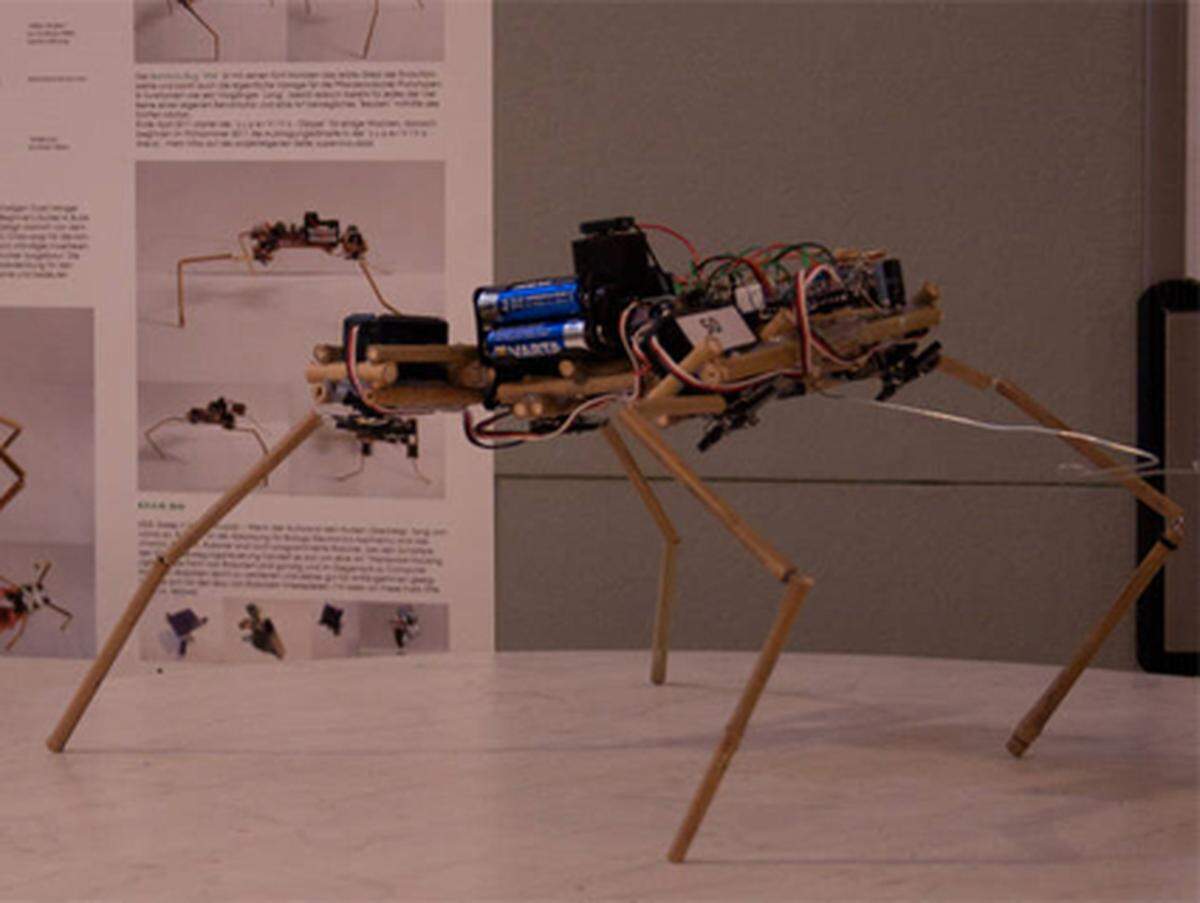 Eine der beiden Gold-Medaillen erlangte der Roboter "supervivo" für Österreich. Der Insekten-Roboter auf Bambus-Beinen konnte sich in der Disziplin "Freestyle Exhibition" durchsetzen.