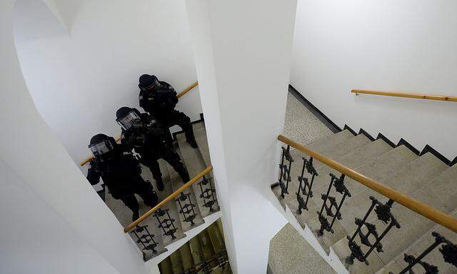 Beamte des Einsatzkommandos Cobra sollen ein Haus in Niederösterreich gestürmt - aber keinerlei Drogen gefunden haben (Symbolbild).