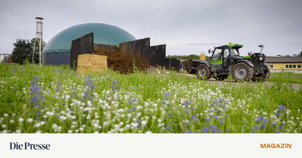 Regierung-erfindet-neue-Sondersteuer-f-r-alle-Stromkunden-premium-