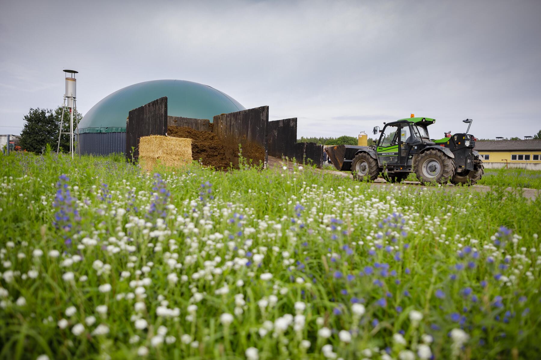 Regierung erfindet neue Sondersteuer für alle Stromkunden  [premium]