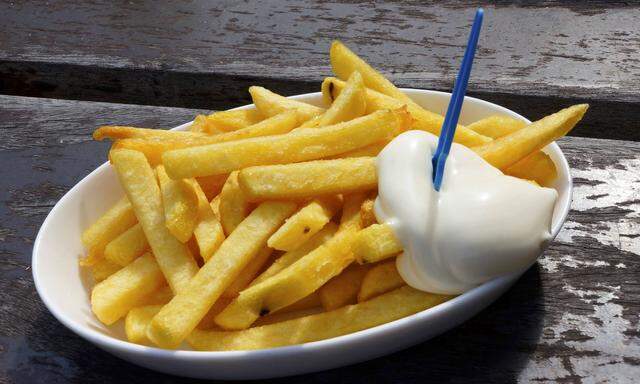 Pommes Frites mit Mayonaise Deutschland french fries with mayonnaise Germany BLWS380070