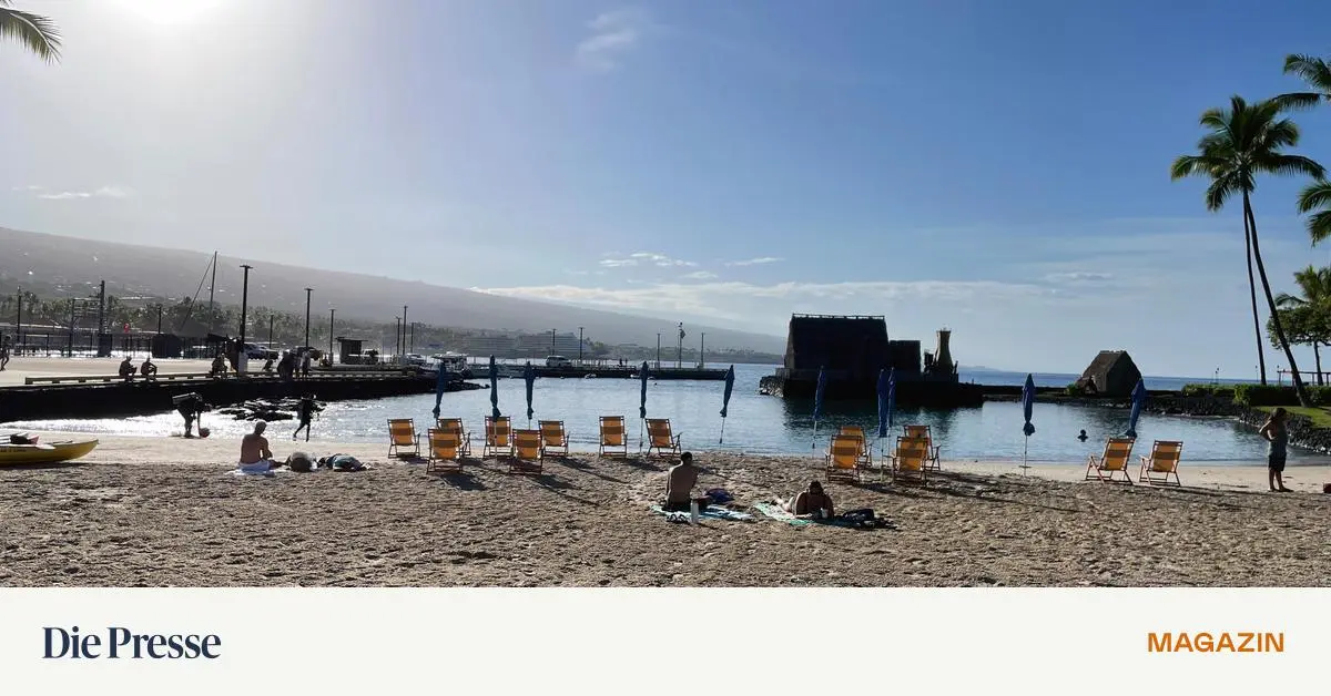 Experte-f-r-Computersprache-Der-Schreibtischjob-f-hrt-quer-durch-die-Welt-premium-