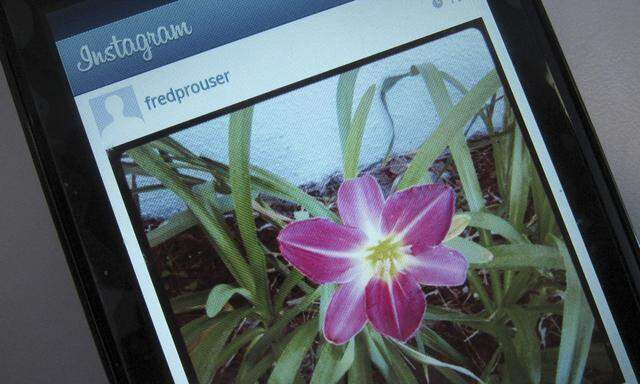 A photo illustration shows a picture of a flower taken with the photo-sharing application Instagram on the screen of an Android mobile phone in Los Angeles