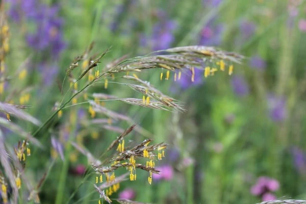 Biodiversity increases if simple measures are taken.