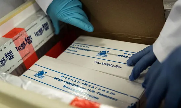 Pakete mit dem russischen Corona-Impfstoff "Sputnik V" werden bald in Ungarn ankommen.