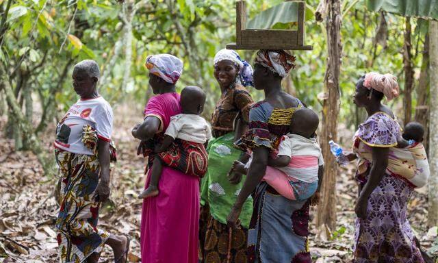 Der Großteil der globalen Kakaomenge kommt aus Westafrika. Die Elfenbeinküste ist vor Ghana der größte Rohstofflieferant. (RM)