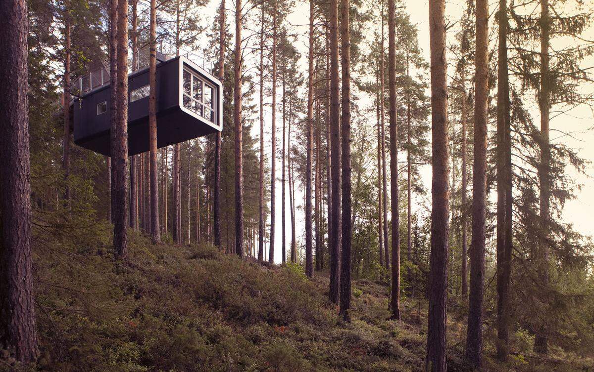In den Baumkronen schwebt hier "The Cabin". Dieses futuristische Baumhaus wurde von Mårten und Gustav Cyrén entworfen.