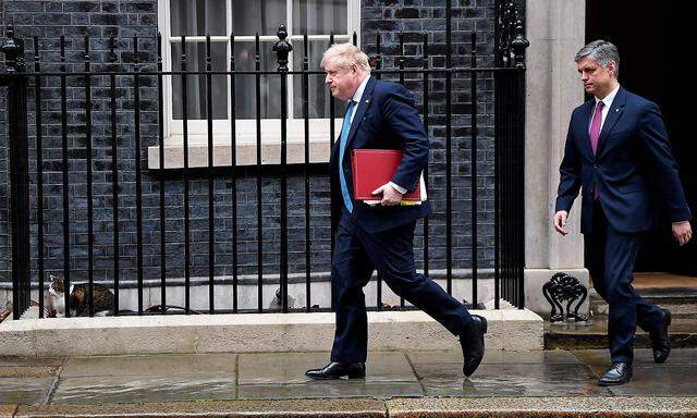 Boris Johnson - im Bild mit Hauskater Larry (li.) - ist mit neuen Vorwürfen konfrontiert.