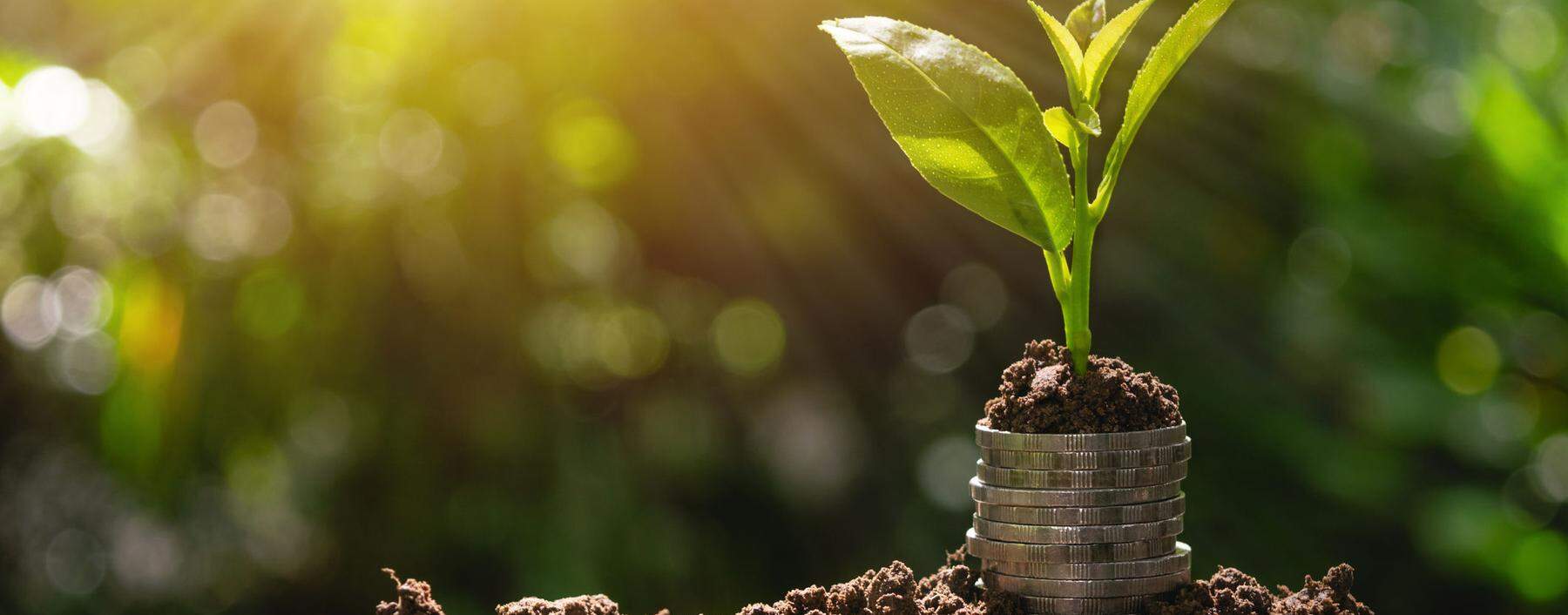 Der Begriff „Green Finance“ umfasst nach breitem Verständnis das gesamte Spektrum finanzwirtschaftlicher Ansätze und Instrumente zum Schutz von Umwelt und Klima.
