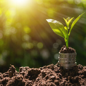 Der Begriff „Green Finance“ umfasst nach breitem Verständnis das gesamte Spektrum finanzwirtschaftlicher Ansätze und Instrumente zum Schutz von Umwelt und Klima.