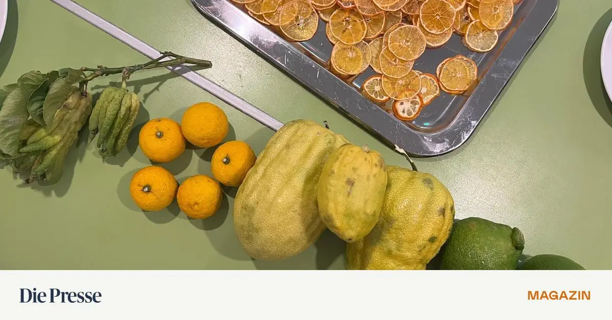 Tipps-f-r-Zitrusfr-chte-Die-Schale-sollte-man-nie-wegschmei-en-premium-