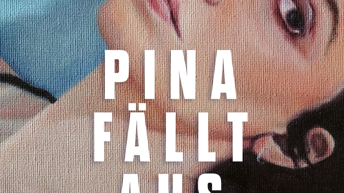 -Pina-f-llt-aus-Drei-schr-ge-V-gel-retten-einen-autistischen-Jungen-premium-