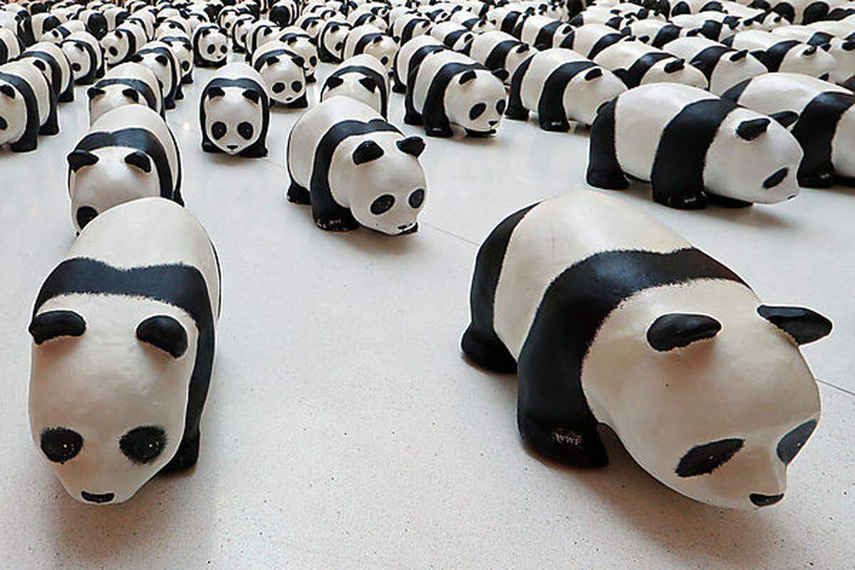 "Panda Fridays" schenkt der WWF seinen Leuten jeden zweiten Freitag im Monat. Damit die "Zeit für Pandas und für ihre Familie haben."