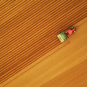 Welche Landwirtschaft wollen wir? Österreich ist vorgeprescht und hat den Schutz von Brach-Flächen aufgehoben (Archivbild).