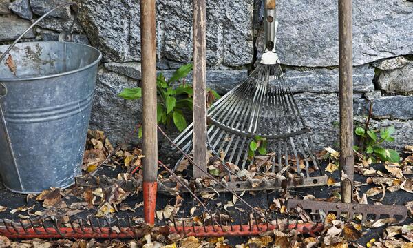 Ab nach Draußen: mit Kübel, Rechen und dem richtigen Herbstdünger.