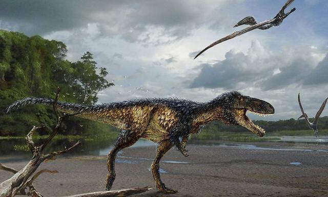 So könnte er ausgesehen haben, der Timurlengia euotica. Der T-Rex-Vorfahre war schlau, aber nicht größer als ein Pferd.