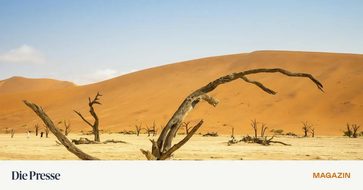 Das-Spectrum-R-tsel-ber-100-Jahre-alt-und-noch-so-fit-premium-