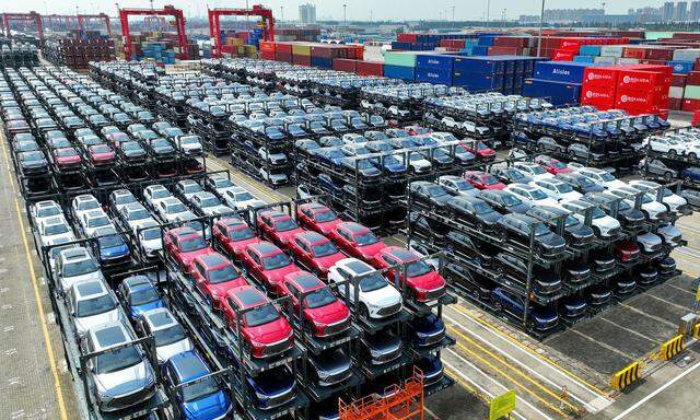Der chinesische E-Auto-Hersteller BYD will sich für den EU-Markt auf die Produktion von Kleinwagen konzentrieren. 