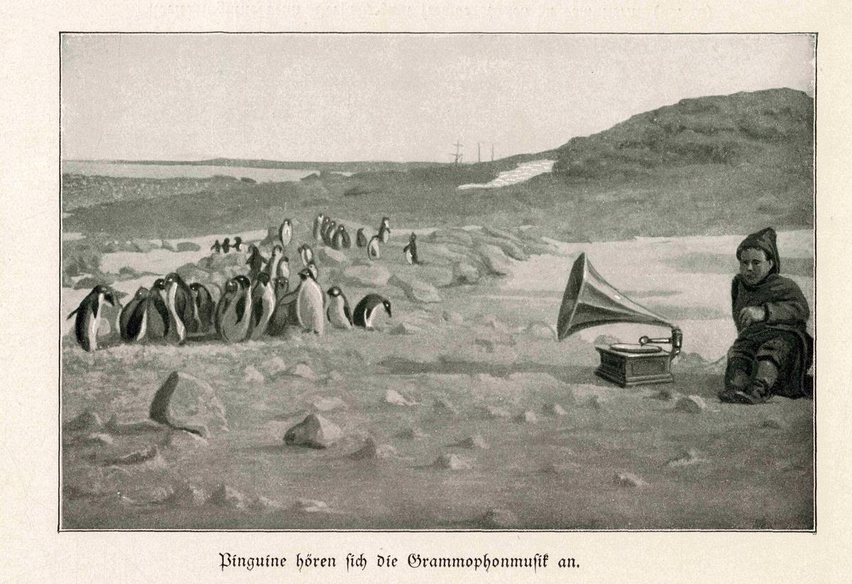 Shackleton bot den arktischen Pinguinen musikalische Unterhaltungen.
