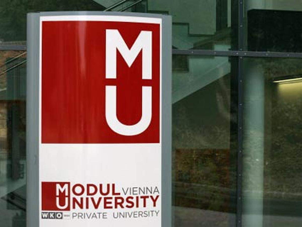 Die "Modul University" – nicht zu verwechseln mit der Modul-Fachschule, die Köche und Kellner ausbildet – wird von der Wiener Wirtschaftskammer betrieben. Angeboten werden Tourismusmanagement, ein MBA-Lehrgang für die öffentliche Verwaltung und einer für New Media Technology. Unterrichtssprache ist durchgehend Englisch.