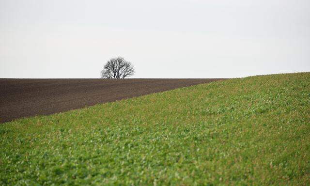 Auch die ÖVP-Regierungsriege verabschiedet sich vom Regierungsziel, den Bodenverbrauch auf 2,5 Hektar pro Tag zu bremsen. 
