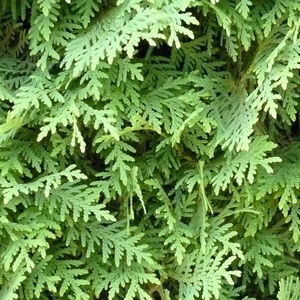 So mancher Hedgefonds hat sich in den vergangenen Monaten mit Wetten auf den Kursverfall von Game-Stop, AMC und anderen Werten die Finger verbrannt.