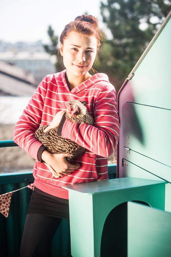 Urban Chicken Farm. Yamuna Valenta hat als Diplomprojekt auf der Angewandten die Urban Chicken Farm entwickelt.