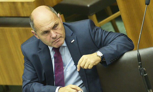 Nationalrat besiegelt Verschiebung der Hofburg-Wahl