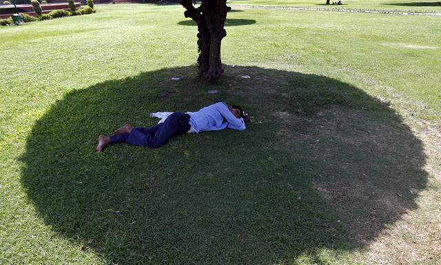 A man sleeps under the shade of a tree on a hot summer day at a public park in New Delhi