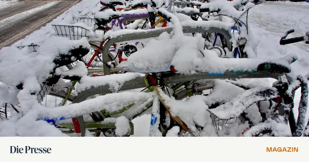 Schaufeln-streuen-warnen-Wer-jetzt-den-Gehsteig-sicher-h-lt-premium-