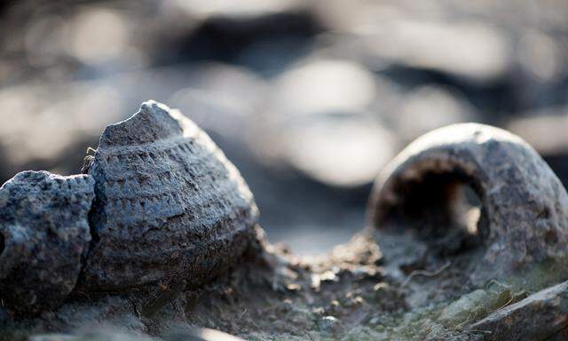 Unter bronzezeitlichen Funden stieß man auf jungsteinzeitliche Schichten.