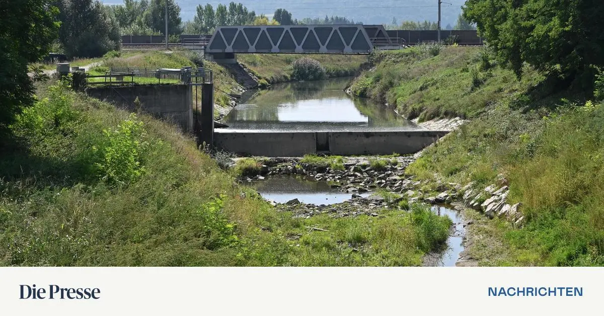 Hochwasserschutz-In-welchen-Gemeinden-Nieder-sterreich-D-mme-baut-premium-
