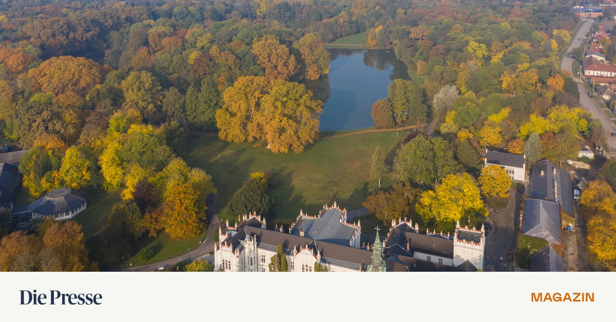 Mensch-Viktor-zeig-das-deinem-Kumpel-in-Mar-a-Lago-premium-