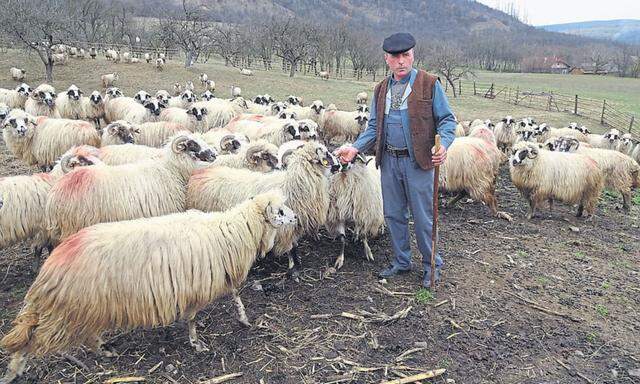 Der Hirte als Nationalsymbol Rumäniens: Alexandru Duma mit seinen Schafen in Osoi.