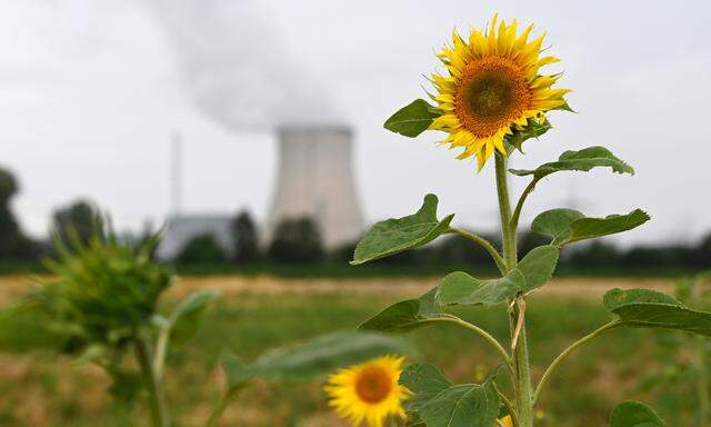 GERMANY-NUCLEAR-ENERGY-AGRICULTURE-NATURE