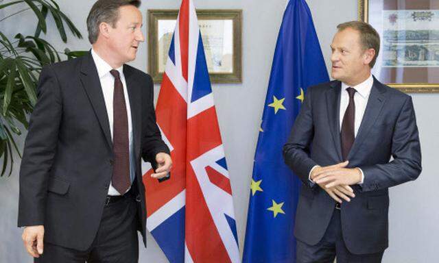 Premier Cameron und Ratspräsident Tusk.